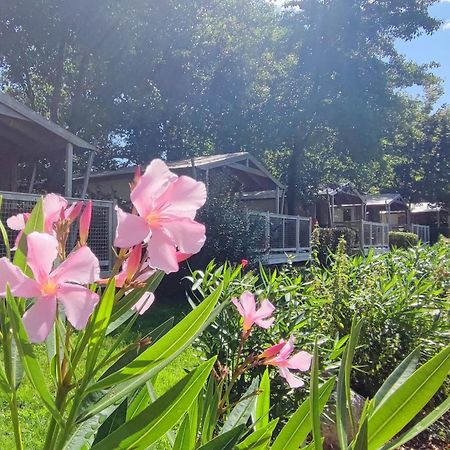 Camping Capfun La Breteche Les Epesses Exterior photo